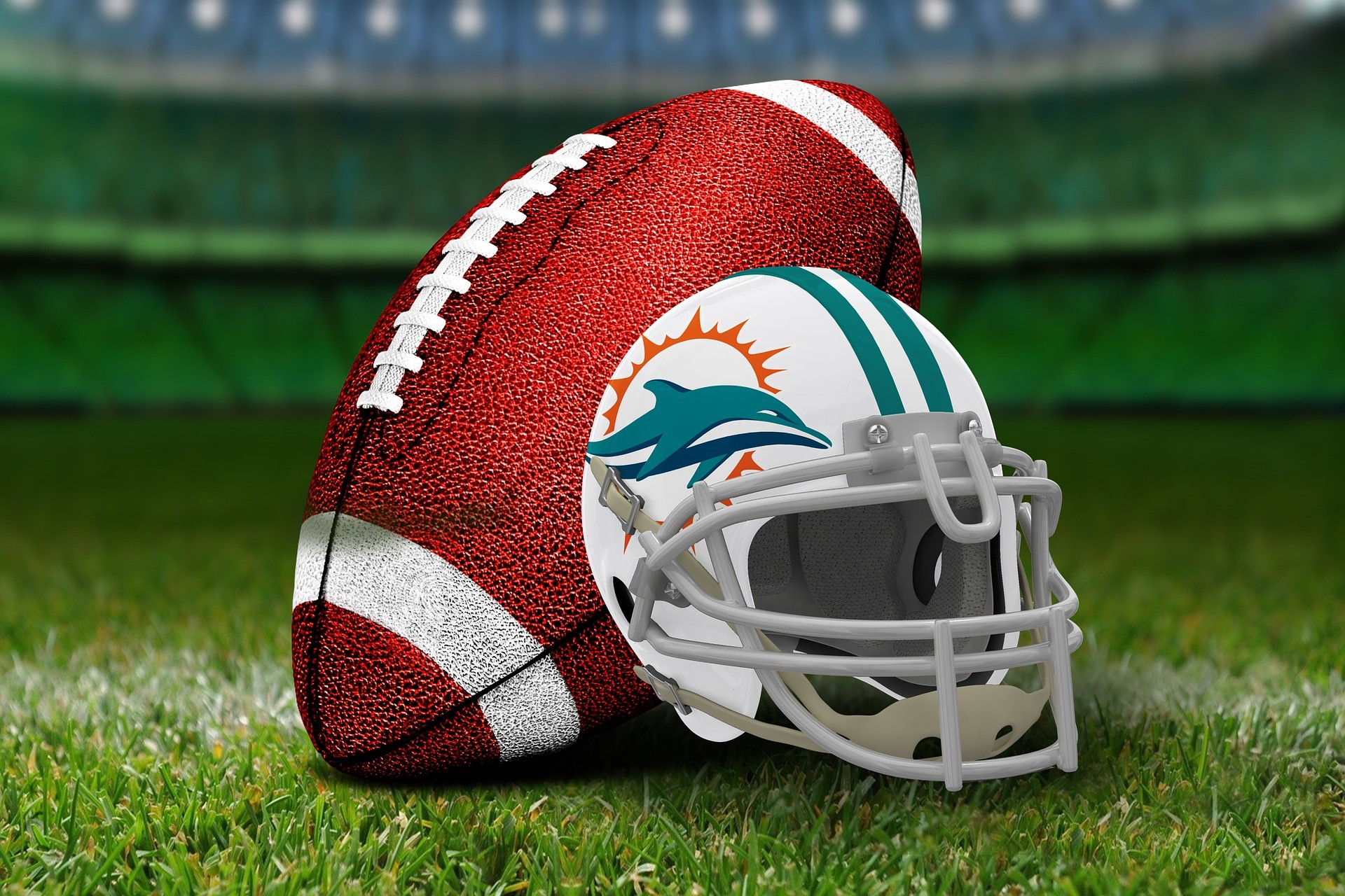 Ultimate Fan Guide to Cheer On Your Favorite Team The Miami Dolphins