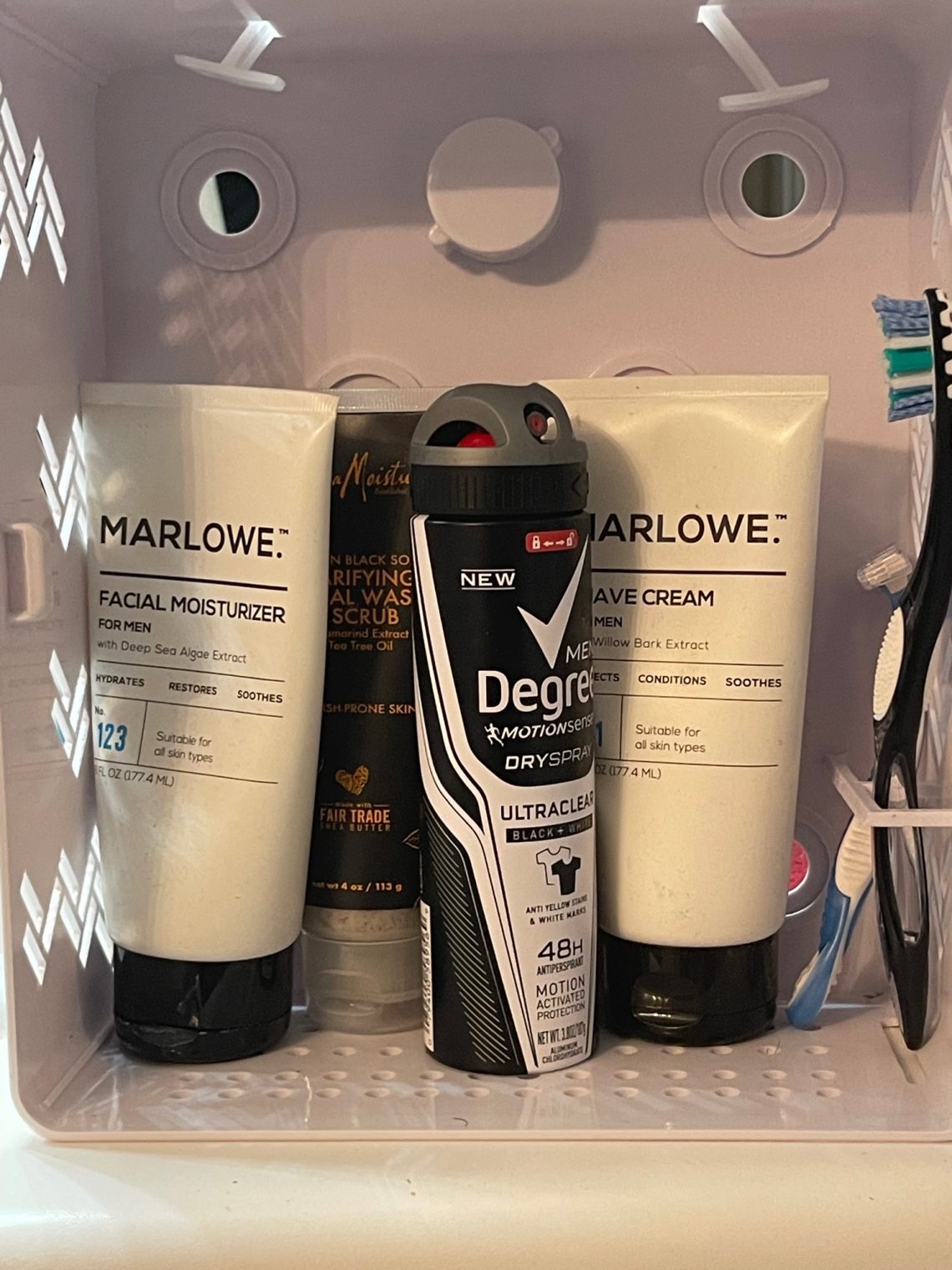 3 Reasons Why You Should Purchase the Shower Caddy Locker