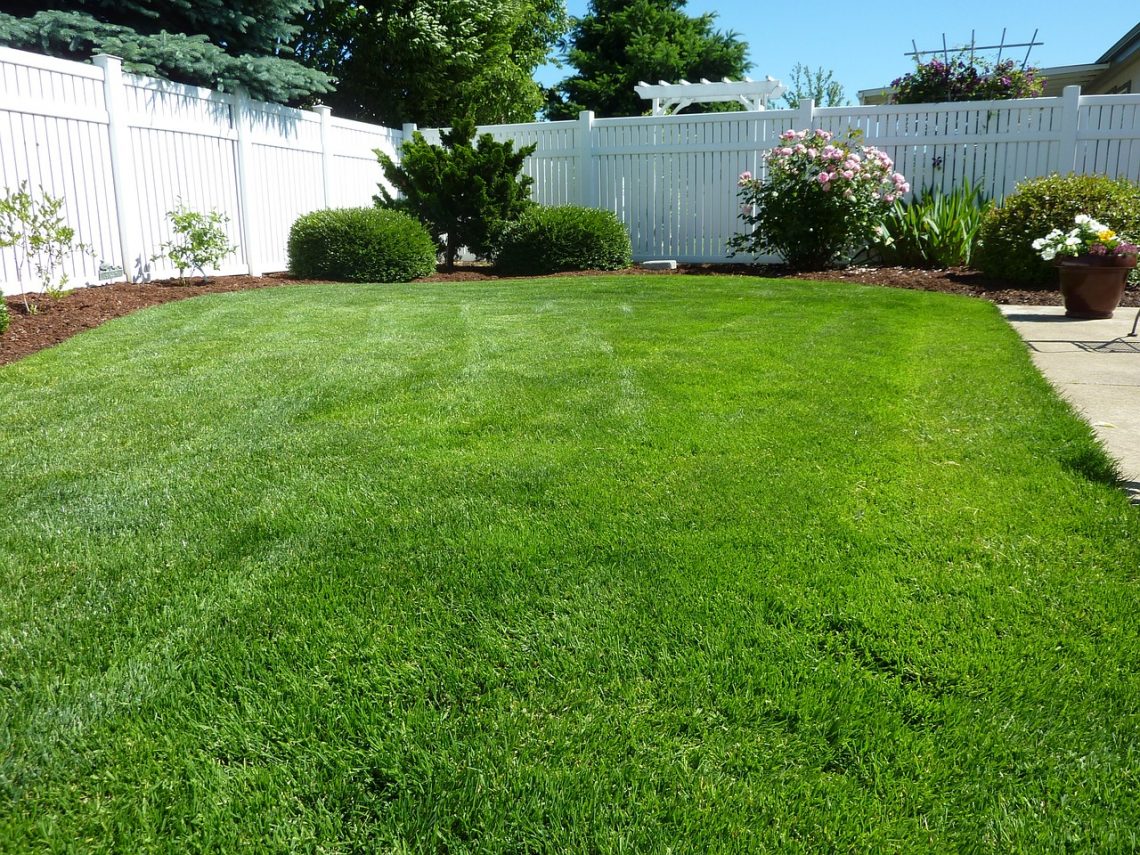 Achieving the Perfect Lawn: 5 Proven Strategies for Effective Lawn Care