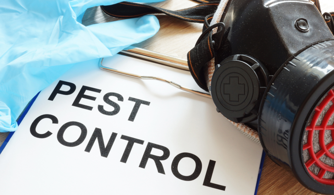 Pest Control Measures for Child-Friendly Homes