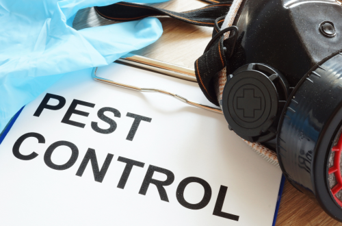 Pest Control Measures for Child-Friendly Homes