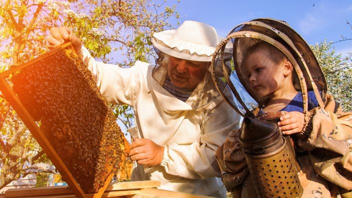 5 Essential Tips for Beekeeping with Your Kids