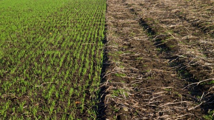 5 Tips for Rotating Crops on Your Farmland