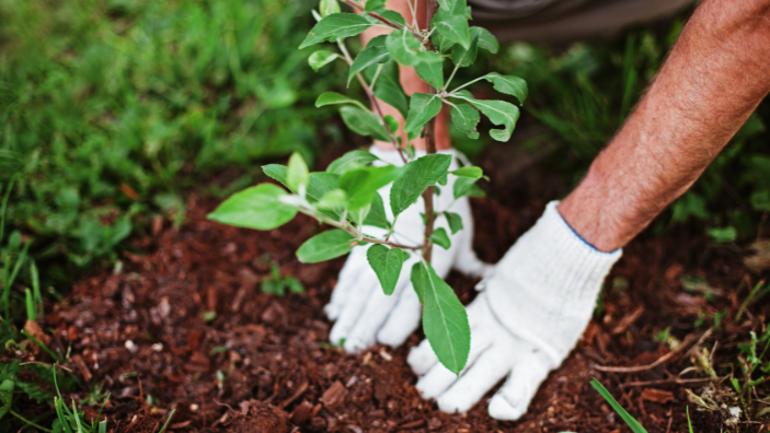 5 Tips for Enhancing Your Home’s Value Through Landscaping