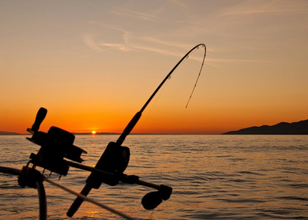 A Dad’s Guide to Choosing a Spinning Rod That Actually Performs