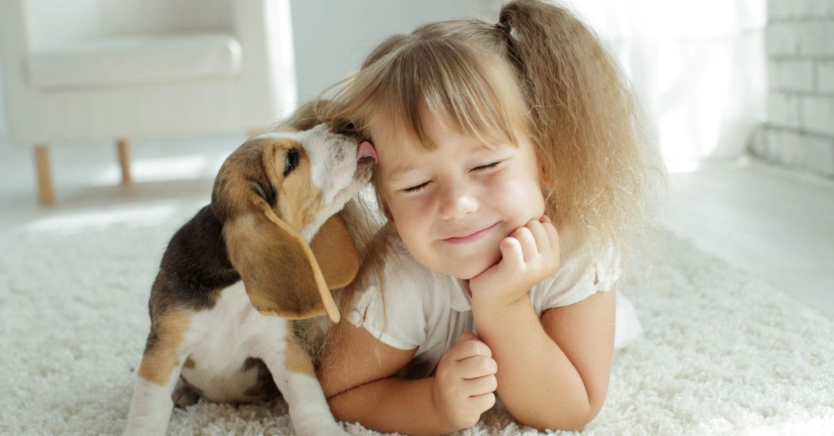 6 Tips for Safely Introducing a Dog to Your Kids