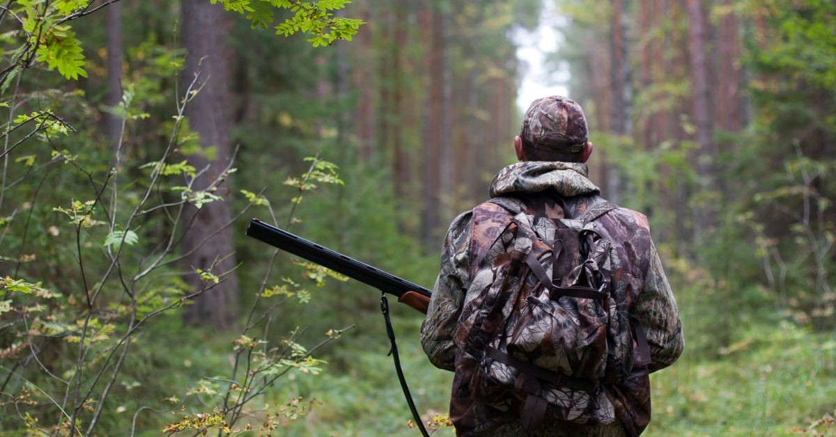 What Beginners Should Know Before Hunting