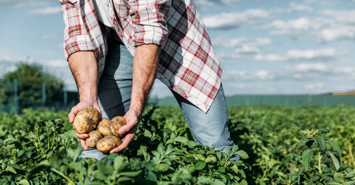 Practical Ways Growers Reduce Seasonal Waste